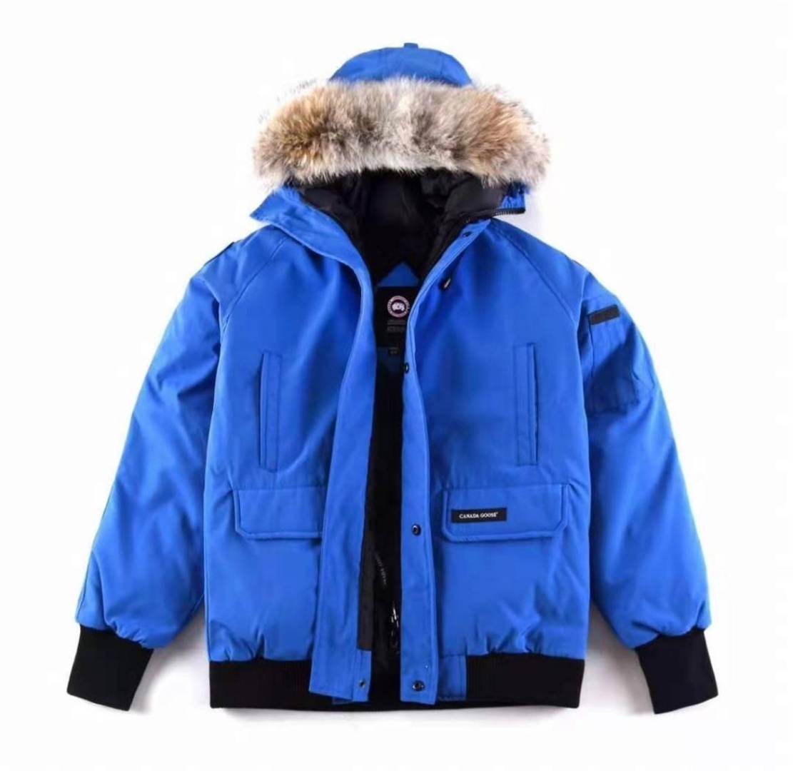  Canada Goose